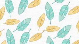 Timeline: My Life Events