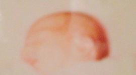 Timeline: Linea del tiempo Daniela