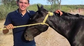 Timeline: Angel Arrizón