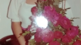 Timeline:  En mis quince años