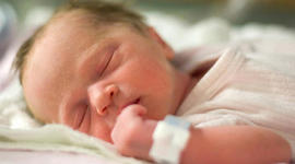 Timeline: Getting born