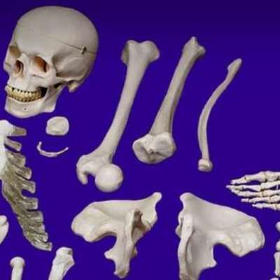 Timeline: HIstory of Forensics