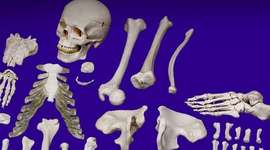 Timeline: HIstory of Forensics