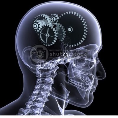 Timeline: EVOLUCIÒN DEL HOMBRE