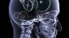 Timeline: EVOLUCIÒN DEL HOMBRE