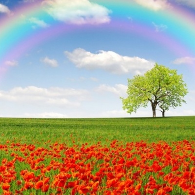 Timeline: 1.1 The Present