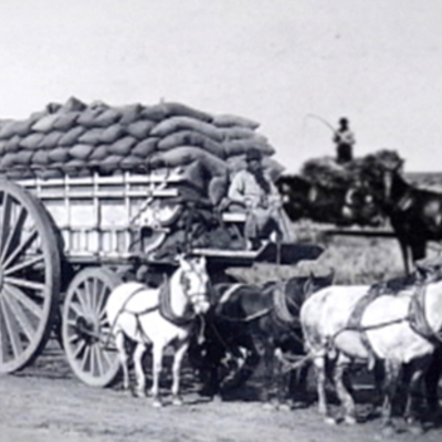 Timeline: El orden conservador y el sistema agroexportador