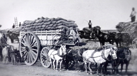 Timeline: El orden conservador y el sistema agroexportador