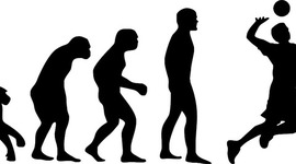 Timeline: linea de tiempo