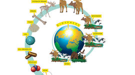 Timeline: Theories of the origin of life