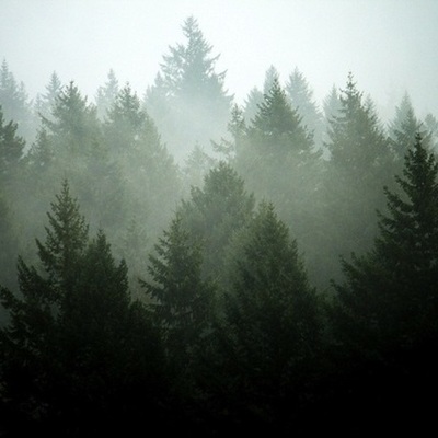 Timeline: Time Toast