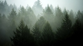 Timeline: Time Toast