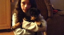 Timeline: History Class Timeline 2016-2017