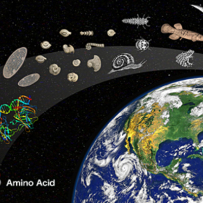 Timeline: Origin of life- Diana Laura Gómez Carrillo A01378142