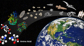 Timeline: Origin of life- Diana Laura Gómez Carrillo A01378142