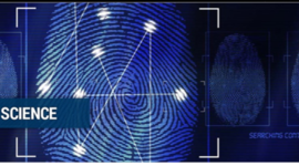 Timeline: Contributor's Timeline