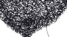 Timeline: Historia del campo clínico