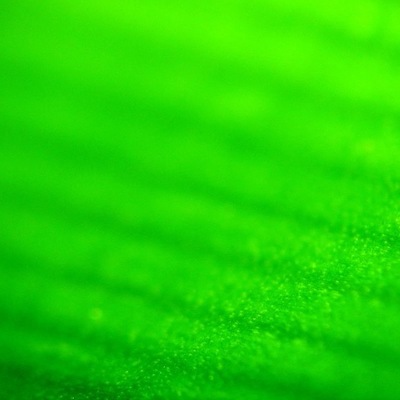 Timeline: Ley 99 de 1993