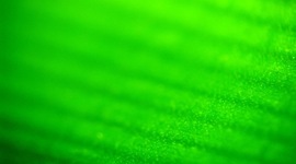 Timeline: Ley 99 de 1993