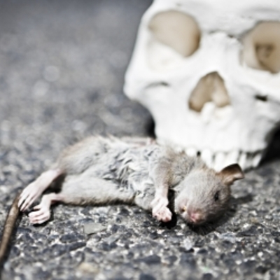 Timeline: Block 1 Last First 2018 Timeline