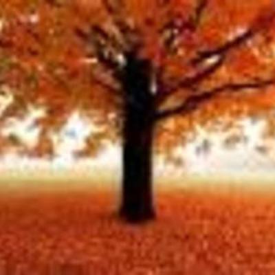 Timeline: My birthday