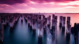 Timeline: Conspiración