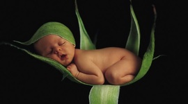 Timeline: formar parte de la sociedad a partir de nuestro naciemiento