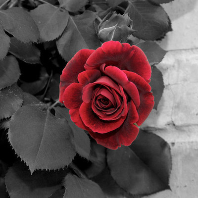 Timeline: 10 INTERESTING NATURAL DISASTERS