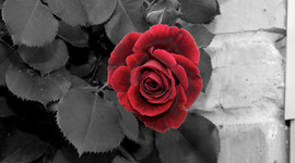 Timeline: 10 INTERESTING NATURAL DISASTERS