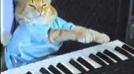 Timeline: Evolution of Social Media