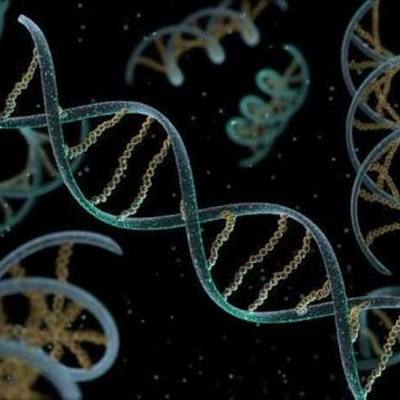 Timeline: Teorías de la vida