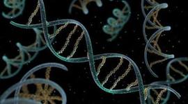 Timeline: Teorías de la vida