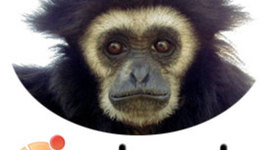 Timeline: VERSIONES DE UBUNTU