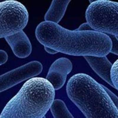 Timeline: Microbiology's Evolution