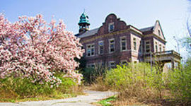 Timeline: Special Education in History