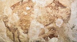 Timeline: Arte Rupestre En Asia