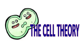 Timeline: Cell Theory Timeline 1600