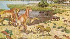 Timeline: Geological- Era of Earth