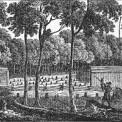 Timeline: Timeline assignment