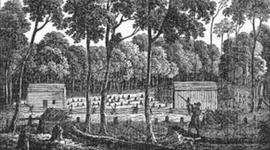 Timeline: Timeline assignment