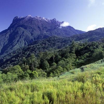 Timeline: Kinabalu National Park, Malaysia