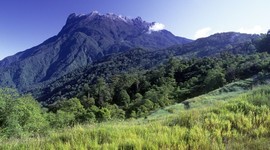 Timeline: Kinabalu National Park, Malaysia