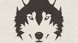 Timeline: Mi línea del tiempo