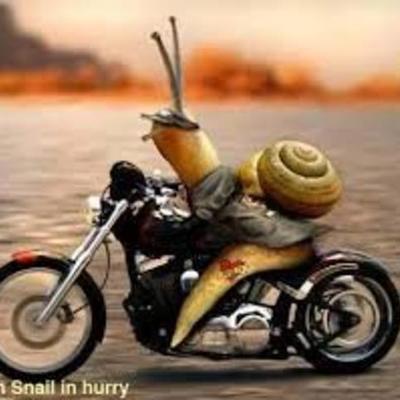 Timeline: History of Animation