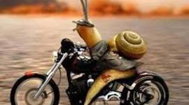 Timeline: History of Animation