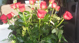 Timeline: Historia de las agencias de viajes