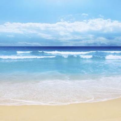 Timeline: Sally's Seashells