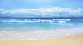 Timeline: Sally's Seashells