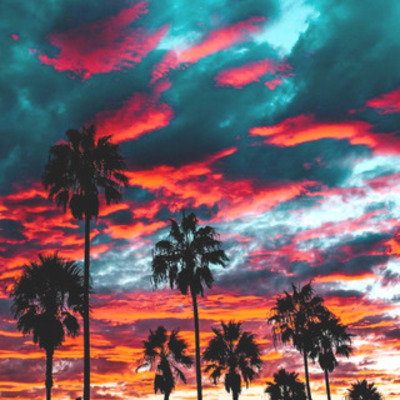 Timeline: Administración y sus Precursores