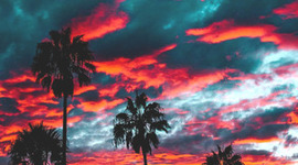 Timeline: Administración y sus Precursores